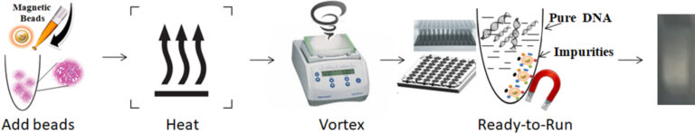 Workflow of One-step FFPE and FNA DNA purification