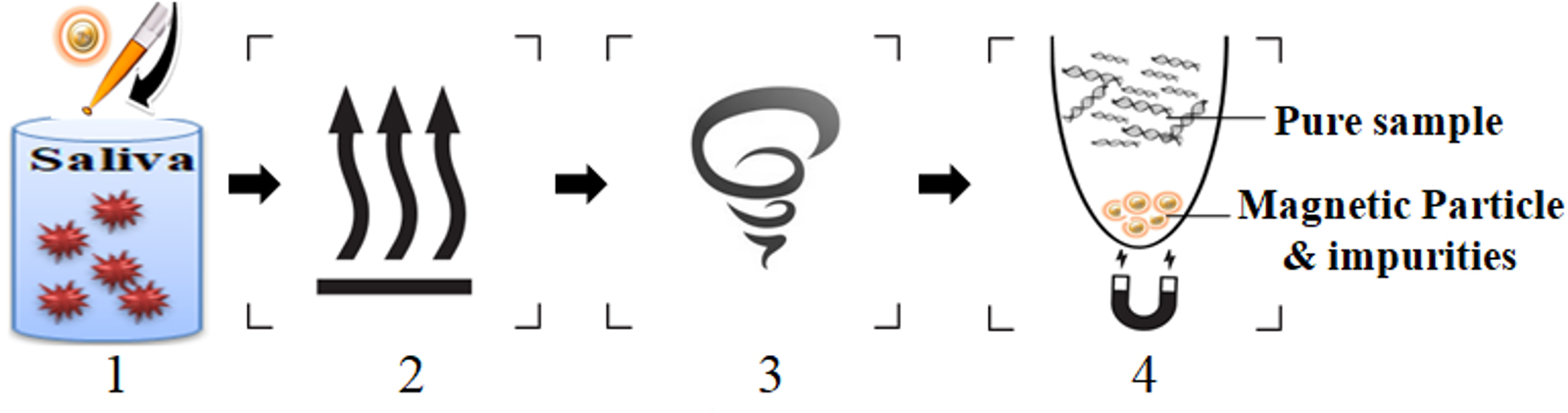 Workflow of One-Step Saliva Viral RNA-DNA Purification