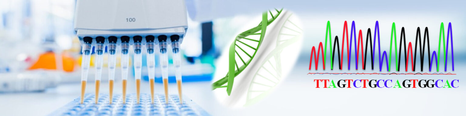 Kit Sequencing Rack One-Step Sanger Sequencing Cleanup Kit: Streamlining DNA Sequencing ...