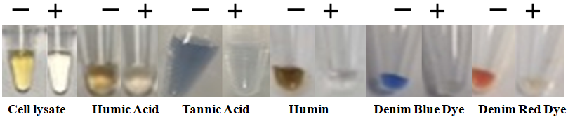 PCR Inhibitor Removal