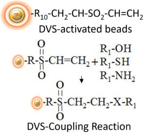 Coupling reaction of DVS-activated magnetic Beads