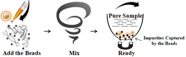 Workflow of One-Step DNA/RNA Cleanup