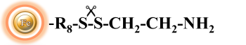 Cleavable amine-activated beads