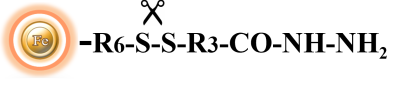 Cleavable hydrazide structure