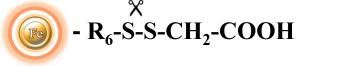 Structure and workflow of cleavable carboxyl-terminated magnetic beads