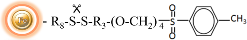 Structure and workflow of Cleavable tosyl-activated beads