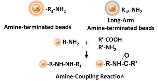Amine beads coupling reaction