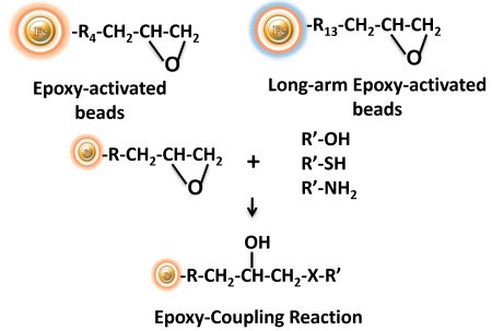 Epoxy-activated coupling