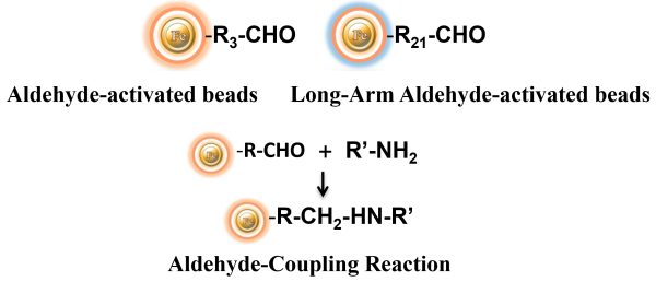 Aldehyde-activated bead structure and coupling reaction