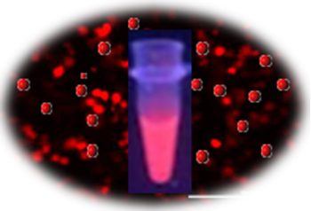 Europium Fluorescence Magnetic Beads