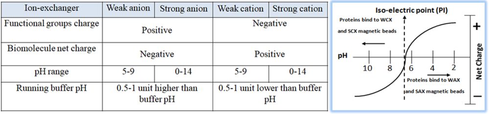 Principle of Ion exchange chromatography