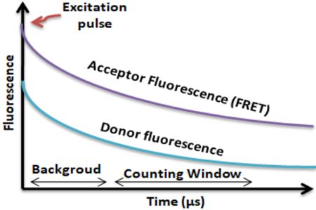 TR-FRET