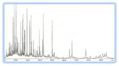 Typical MALDI-TOF MS spectra (1-10 kDa) of LMW serum fraction processed on 1um C18 magnetic beads