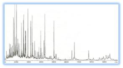 Typical-MALDI-TOF-MS-spectra-of-LMW-serum.png