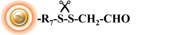 Structure of cleavable aldehyde-activated magnetic beads