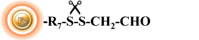 Structure of cleavable aldehyde-activated magnetic beads